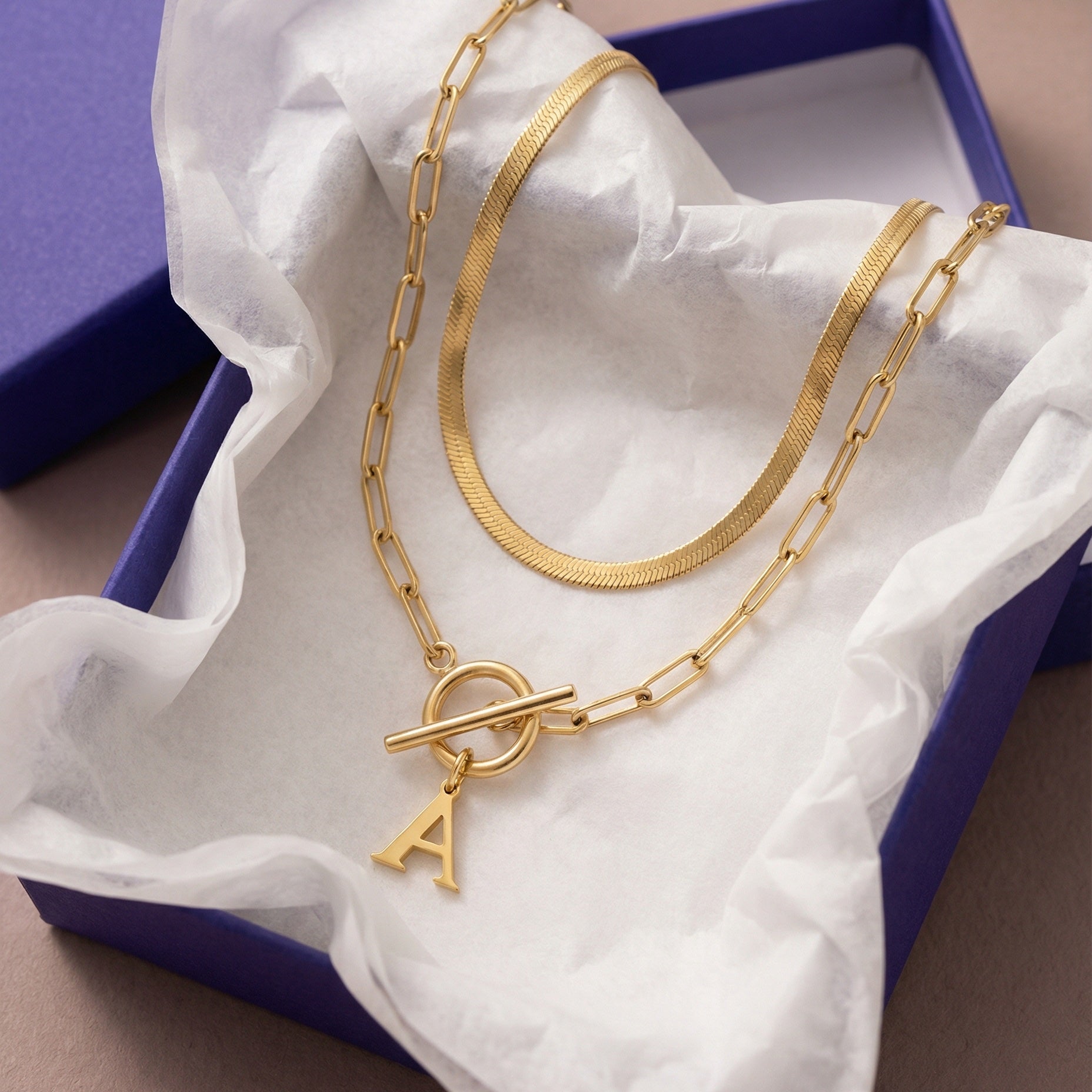 2pc Paperclip Initial Toggle Clasp & Herringbone Necklace Set