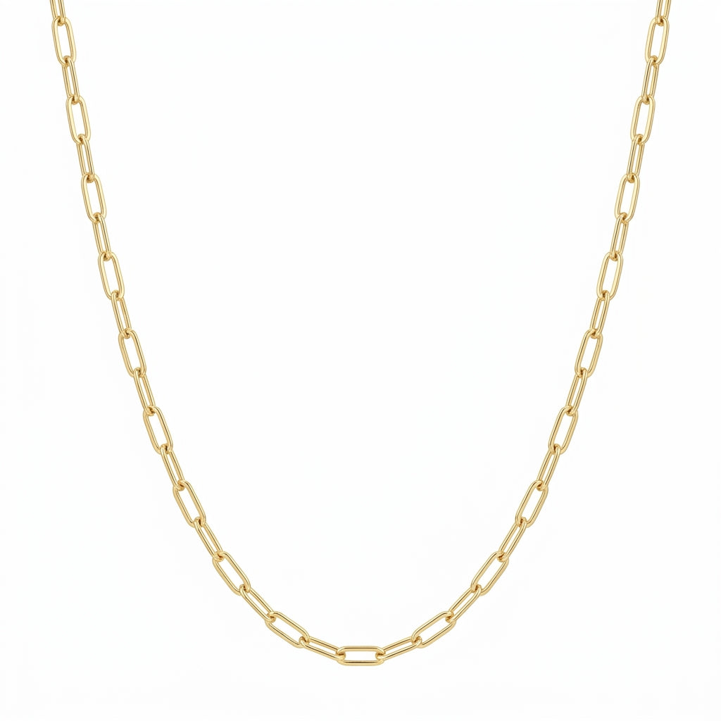 Veinci Classics Paperclip Necklace