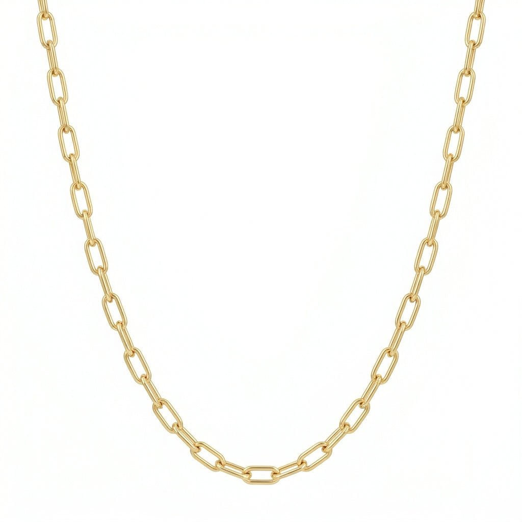 Veinci Classics Paperclip Necklace