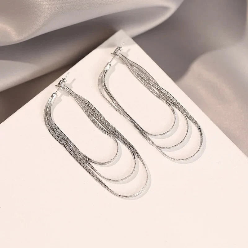 Dainty Tassel Dangle Chain Earrings