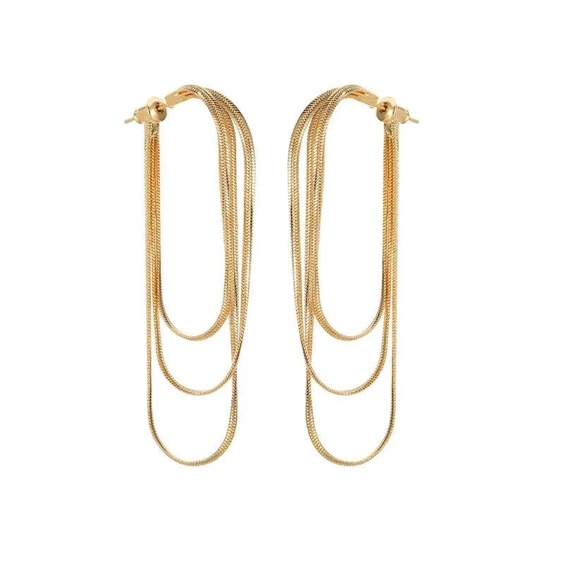 Dainty Tassel Dangle Chain Earrings