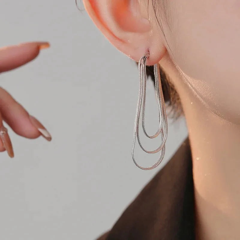 Dainty Tassel Dangle Chain Earrings